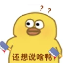鸭鸭鸭