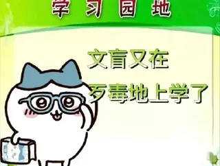 🤔 高速代理 @hgwzcd, sticker Telegram 11 sur 71