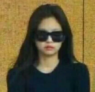 🐻 Jennie meme by @tikelguaaa, стикер Telegram 8 из 40