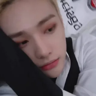 🦙 @inixeyla : hyunjin, sticker Telegram 15 sur 40