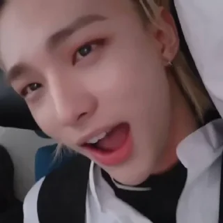 🦙 @inixeyla : hyunjin, sticker Telegram 9 sur 40