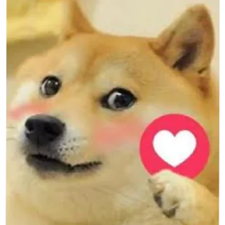 😘 do NOT look behind !, Telegram sticker 14 of 119