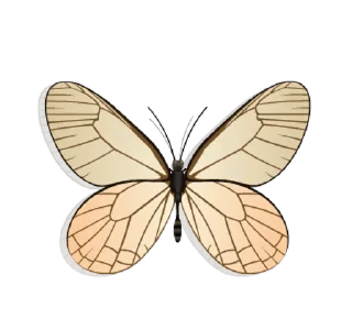 🦋 @rehpycuol part II, Telegram sticker 14 of 50