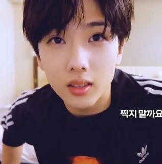 🎲 park jisung @stickernct, sticker Telegram 18 sur 25