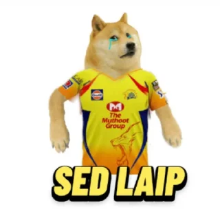 🥲 @stickersbag ipl memes😎, Telegram sticker 22 of 80