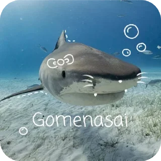 🌊 Cava punya, sticker Telegram 6 sur 39