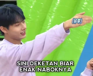 🫶 Svt gose, sticker Telegram 23 sur 44