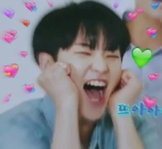 ❤️ svt — @byeongarin, sticker Telegram 11 sur 92