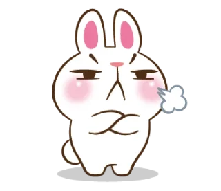 😠 Molly the rabbit @bistic, Telegram sticker 21 of 40
