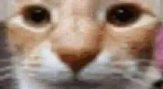 👀 Anti Furry, стікер Telegram 10 з 44