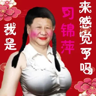 🌸 包包主席萌萌哒, sticker Telegram 13 sur 114