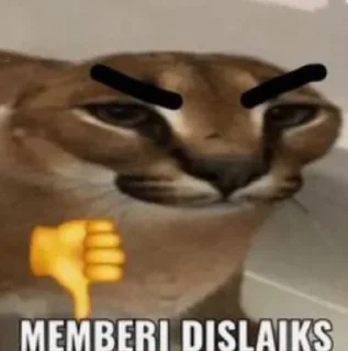 👎 Punya Vann, Telegram sticker 16 of 113