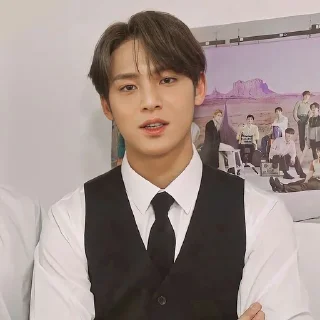 ⋆ Kim Mingyu @Leejenooe