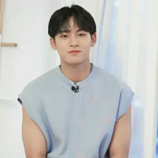 🏂 ⋆ Kim Mingyu @Leejenooe, Telegram sticker 23 of 90