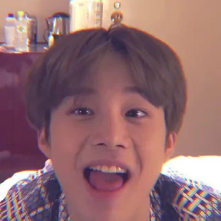 🦈 JuNgwOo NCTeA @HEARTATION, Telegram sticker 21 of 30