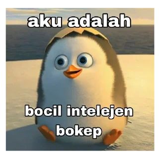 🐦 meme by @qbokepzx, sticker Telegram 8 sur 58
