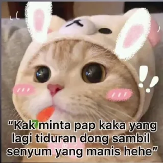 Ryan baik