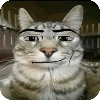 🐱 yaya, стикер Telegram 16 из 77