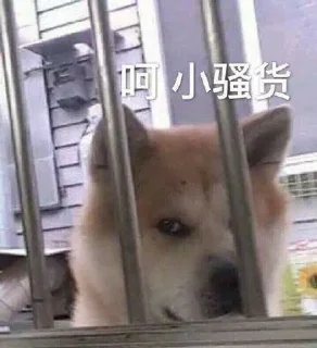👀 东半球最好的贴纸包3, стікер Telegram 7 з 120