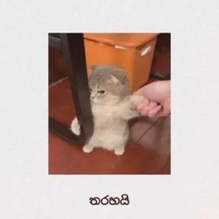 😂 🔐 Pack By @Prabha_sha ♥️🌿, Telegram sticker 14 of 46