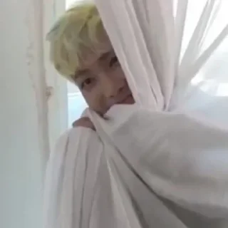 🐨 DADDYRL JESCAN 🍑 -@punyajescan, sticker Telegram 16 sur 37