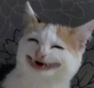 😸 apina's pack (@CalsiBot), стікер Telegram 6 з 120