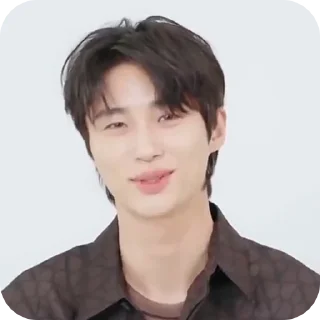 🪽 Wooseok @svckcigarette, Telegram sticker 12 of 50