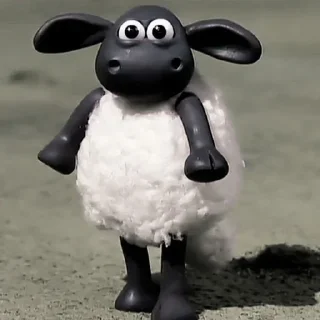 🐨 timmy gemoy, стикер Telegram 5 из 18