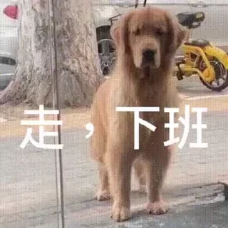 🐕 狗推江湖 @GouTui, sticker Telegram 16 sur 40