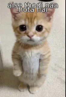 🥺 ChIrAg Is ThE Best-5, стікер Telegram 17 з 109