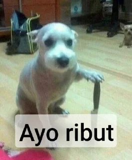 🗡️ Punya Abel, @Wndfzn, sticker Telegram 7 sur 43