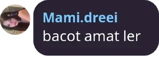 🤭 punya audrei mek, Telegram sticker 11 of 39