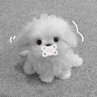 🐾 @userforty @alegquin, стікер Telegram 3 з 56
