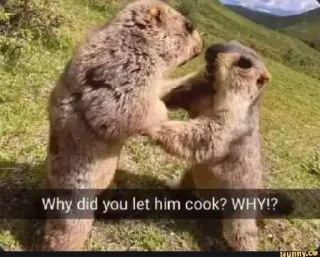 😀 Shitposts, Telegram sticker 21 of 62
