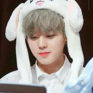 🍰 Jihoon by @thvok, стикер Telegram 4 из 40