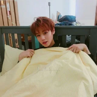 🍰 Jihoon by @thvok, стикер Telegram 10 из 40
