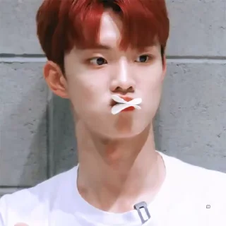 🦆 Vin Punya (Video), Telegram sticker 23 of 30