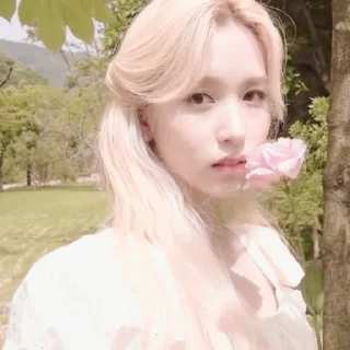 🐰 mina « @jejessynn », Telegram sticker 22 of 35