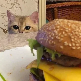 🐈 Join @BADDAsS_FUFA Else u r a gay, стикер Telegram 23 из 76
