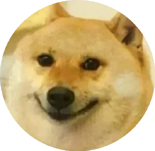 🏵 @GishanKrishka1's Pack 3, Telegram sticker 24 of 120