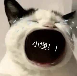 🐱 嚎哭深渊, Telegram sticker 11 of 25