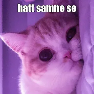 😑 Cute jennie, стикер Telegram 19 из 26