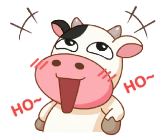 Momo cow vol. 2 @noustiker