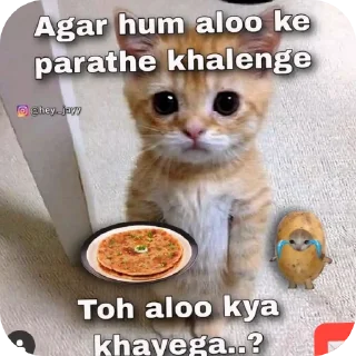 🐱 @yatharth_78 💖💝, стикер Telegram 23 из 118