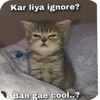 🐱 @yatharth_78 💖💝, стикер Telegram 22 из 118