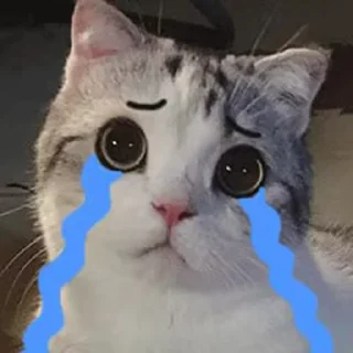 🙊 o_O®泡芙, Telegram sticker 14 of 90