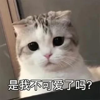 🙊 o_O®泡芙, Telegram sticker 20 of 90
