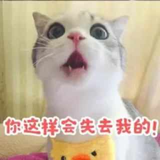 🙊 o_O®泡芙, Telegram sticker 19 of 90