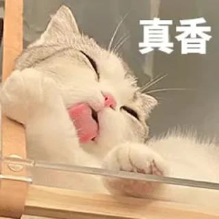 🙊 o_O®泡芙, Telegram sticker 11 of 90