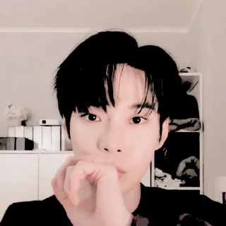 😼 😼。𔘓 kim doyouñg @KEYZNTH, стікер Telegram 20 з 60
